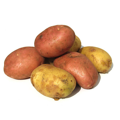 Молодой картофель фото