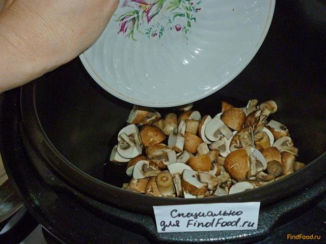 Овощное рагу с грибами в мультиварке рецепт с фото 11-го шага 