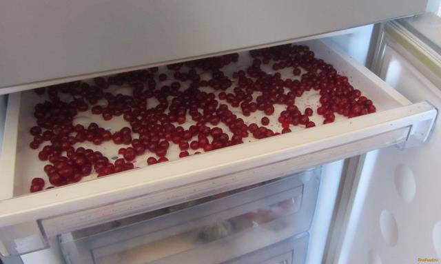 Замороженная красная смородина рецепт с фото 4-го шага 
