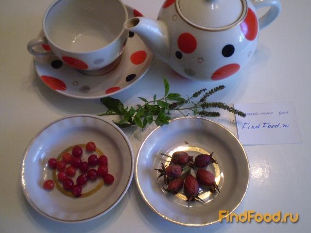 Шиповниковый чай с мятой и калиной рецепт с фото 1-го шага 
