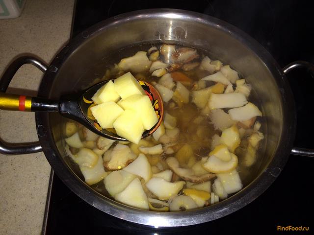 Грибной суп из белых грибов рецепт с фото 10-го шага 
