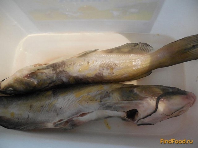 Детский рыбный суп из сомиков рецепт с фото 1-го шага 