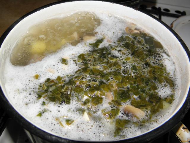 Грибной суп со щавелем рецепт с фото 11-го шага 