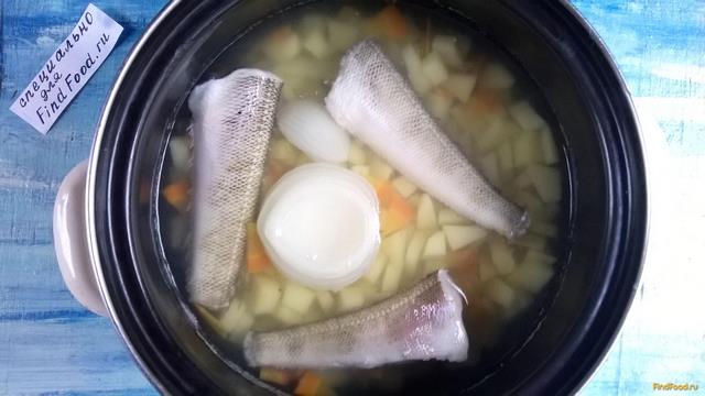 Рыбный суп из нототении рецепт с фото 4-го шага 