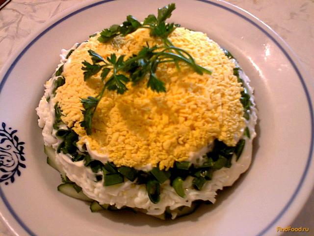 Яично-огуречный салат с зеленым луком рецепт с фото 10-го шага 