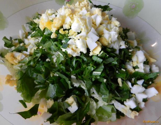 Зелёный салат из листьев одуванчика рецепт с фото 13-го шага 
