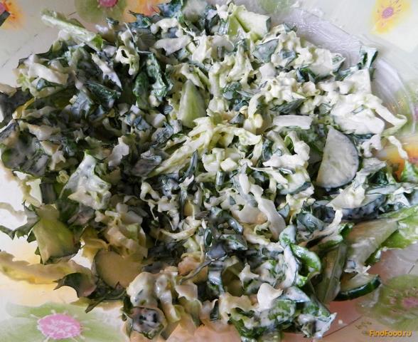 Зелёный салат из листьев одуванчика рецепт с фото 15-го шага 