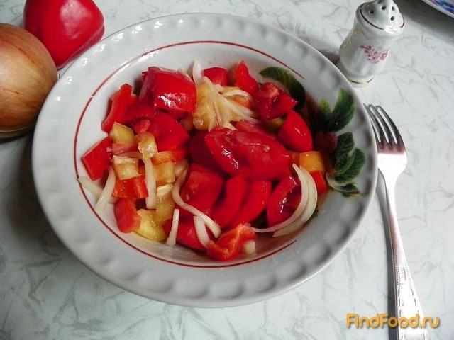 Салат из помидоров болгарского перца и лука рецепт с фото 7-го шага 
