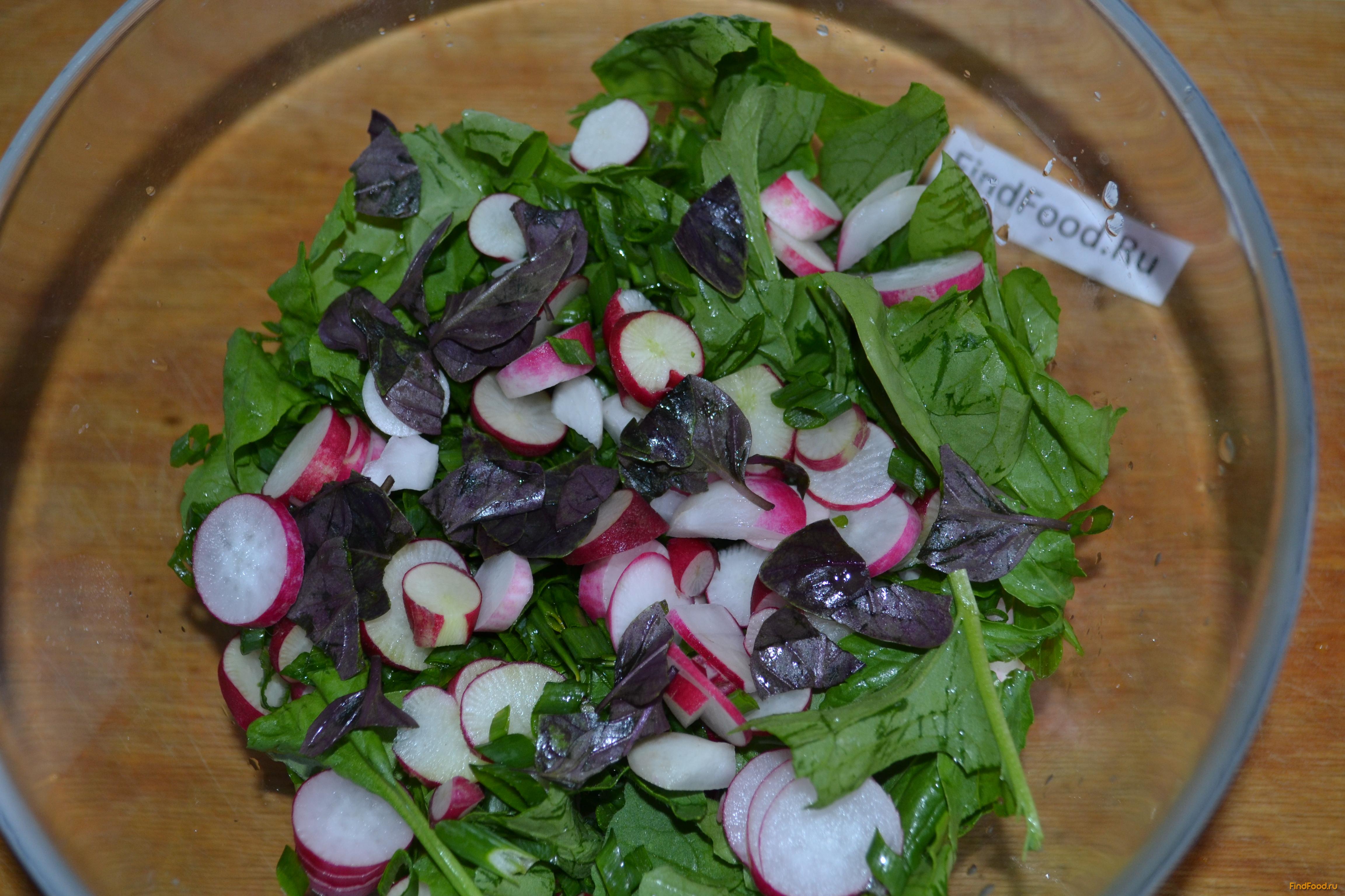 Салат из первой зелени и редиски рецепт с фото 8-го шага 