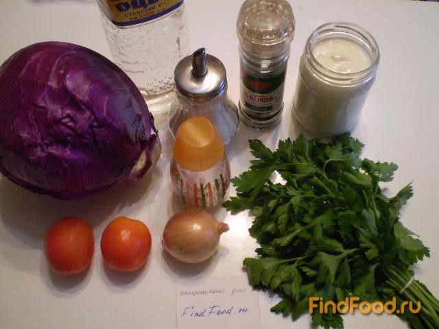 Салат из краснокочанной капусты с помидором рецепт с фото 1-го шага 