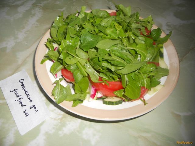 Салат овощной дачный рецепт с фото 5-го шага 