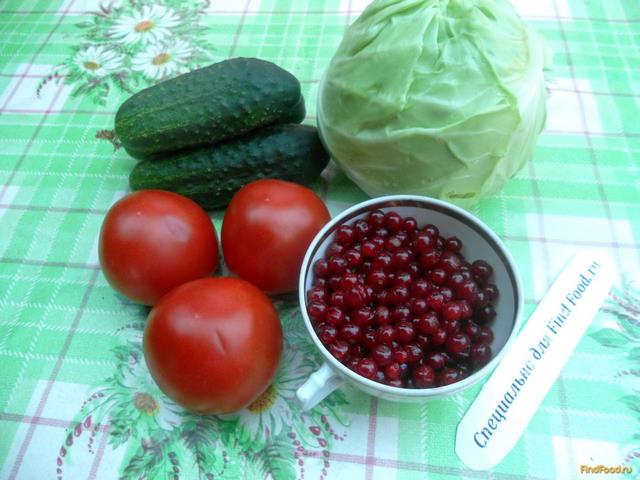 Овощной салат с красной смородиной рецепт с фото 1-го шага 