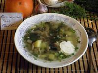 Грибной суп со щавелем рецепт с фото