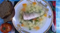 Рыбный суп из нототении рецепт с фото