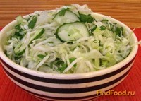 Салат из свежей капусты с огурцами рецепт с фото