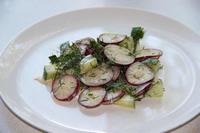 Салат с редисом и огурцами рецепт с фото