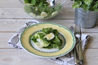 Салат из шпината с яйцом рецепт с фото