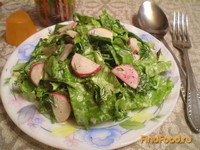 Салат из редиса и зелени рецепт с фото