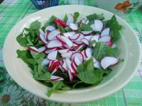 Салат из руколы и редиски рецепт с фото
