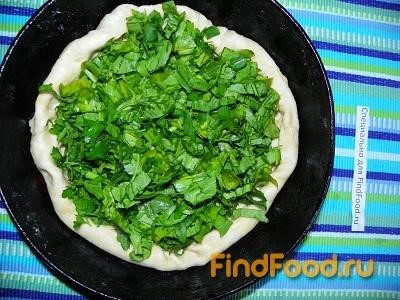 Пирог со щавелем петрушкой и зеленым луком рецепт с фото 12-го шага 