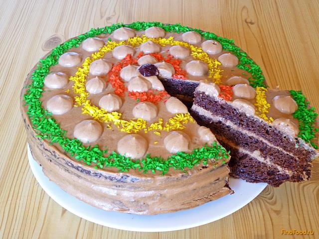 Шоколадный торт на сгущенке рецепт с фото 24-го шага 