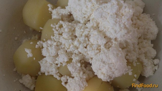 Балкарские лепешки с картофельно творожной начинкой рецепт с фото 2-го шага 