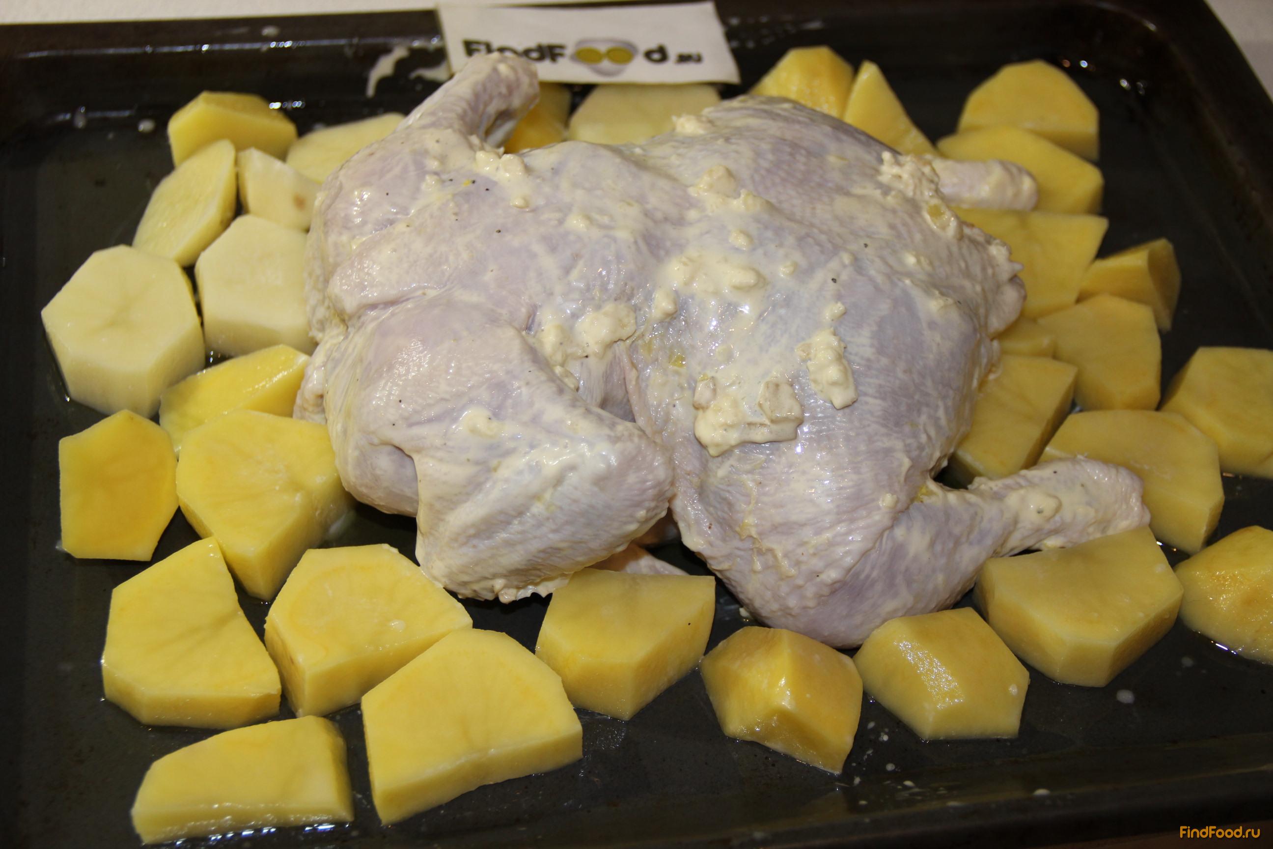 Курица фаршированная картофелем и грибами рецепт с фото 11-го шага 