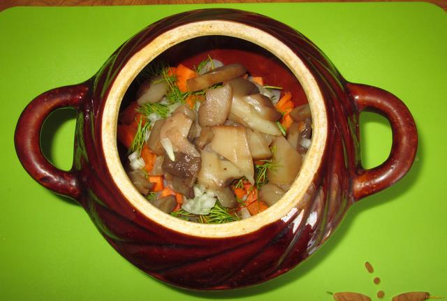 Курица с грибами и картофелем по-деревенски в горшочках рецепт с фото 4-го шага 