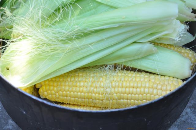 Вареная кукуруза на костре рецепт с фото 2-го шага 
